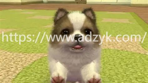 3ds游戏 任天猫狗系列  中文汉化版  6作各版本按需下载
