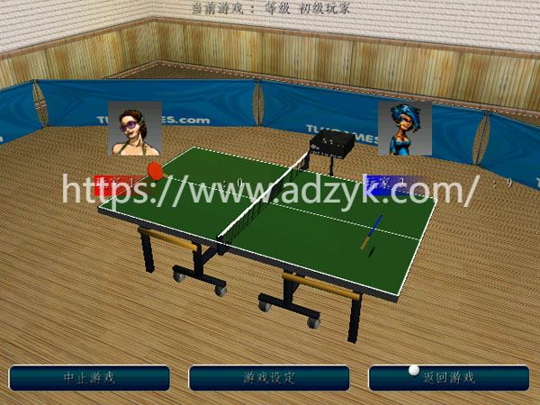 3ds游戏 乒乓运动练习系列  中文汉化版  2作各版本按需下载-第1张图片-阿德资源库 - 专注资源分享