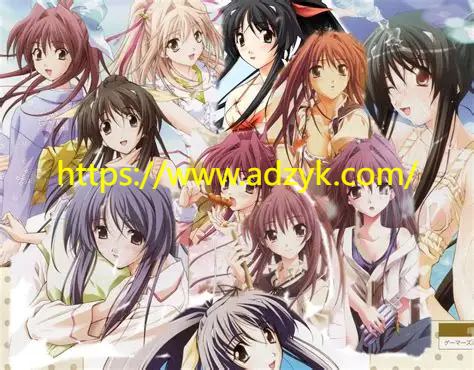 ps2游戏 秋之回忆系列 中文汉化版 5作各版本按需下载-第1张图片-阿德资源库 - 专注资源分享