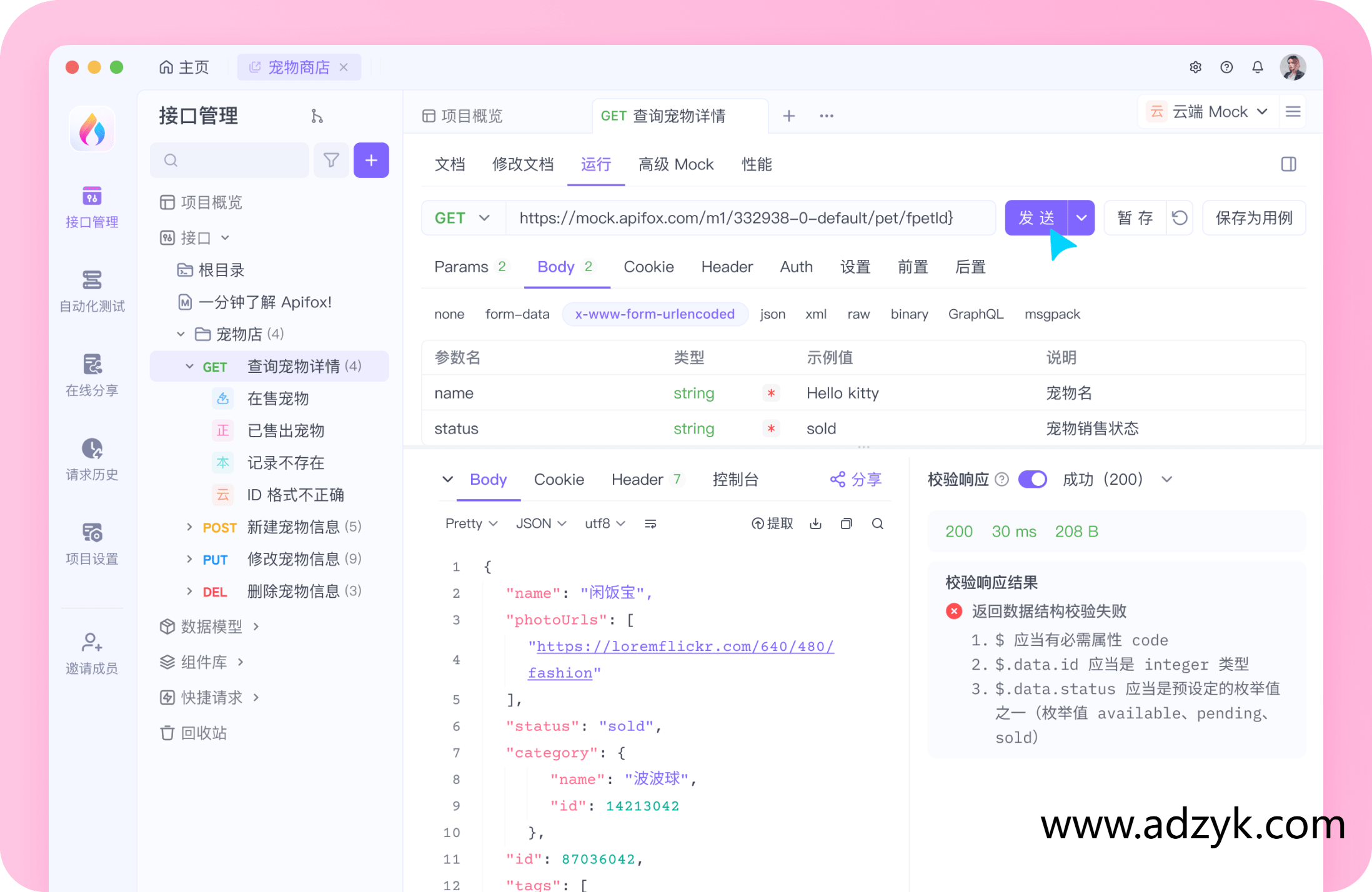 pc端 Apifox  Api调试管理工具 中文绿色版-第1张图片-阿德资源库 - 专注资源分享