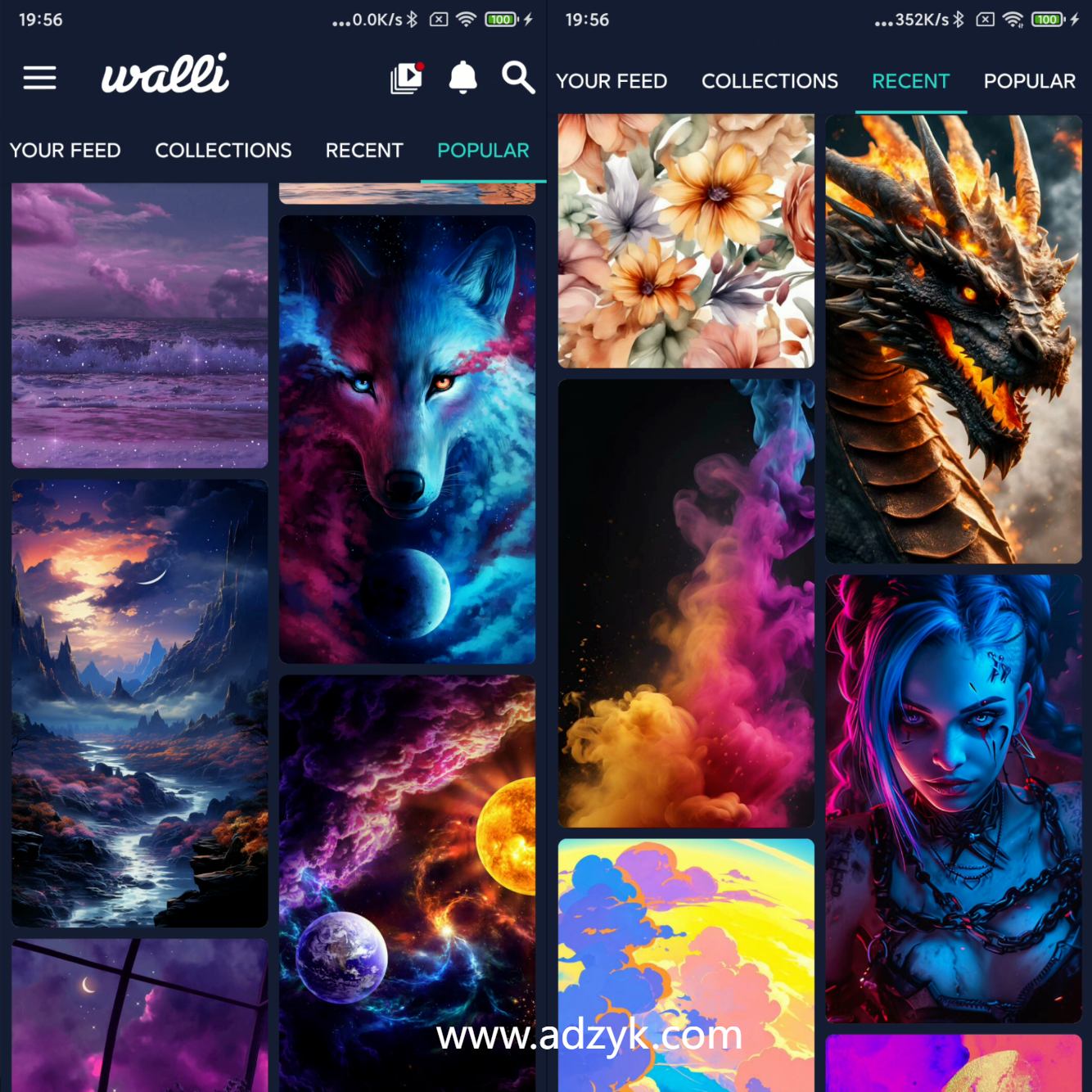 手机端 Walli 4K 原创和高品质高清壁纸的集合 高级版