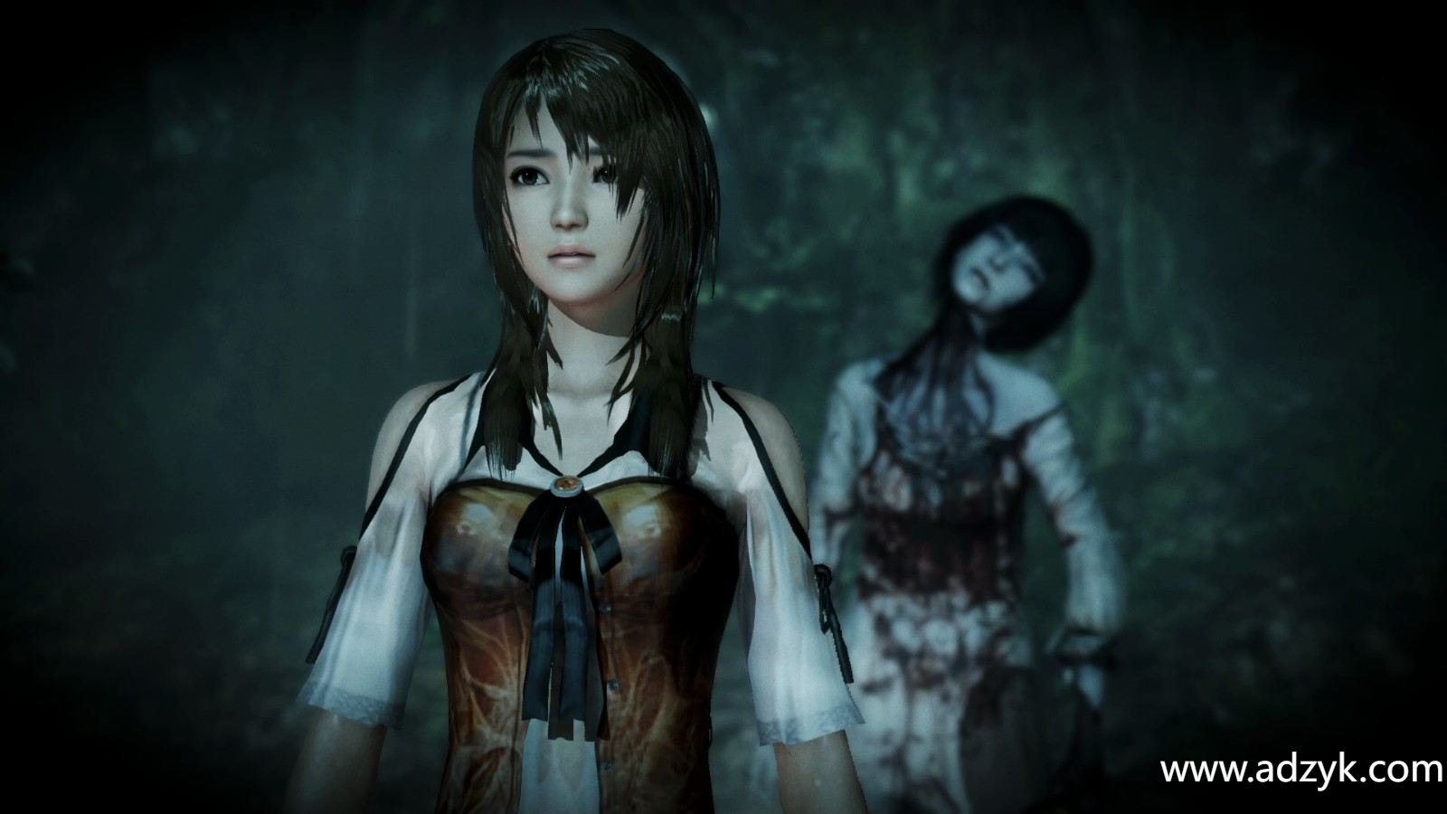 NS游戏 零濡鸦之巫女 中文汉化版